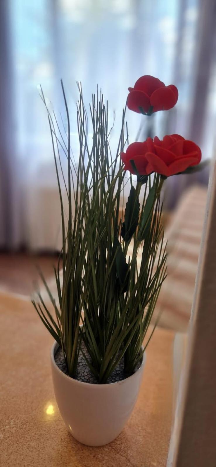 Stephanie Apartment-Centru Civic Brasov Luaran gambar