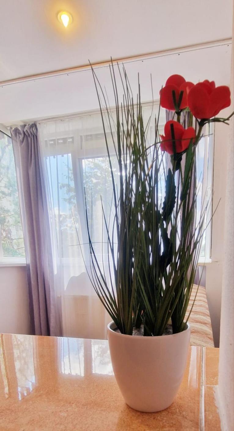 Stephanie Apartment-Centru Civic Brasov Luaran gambar