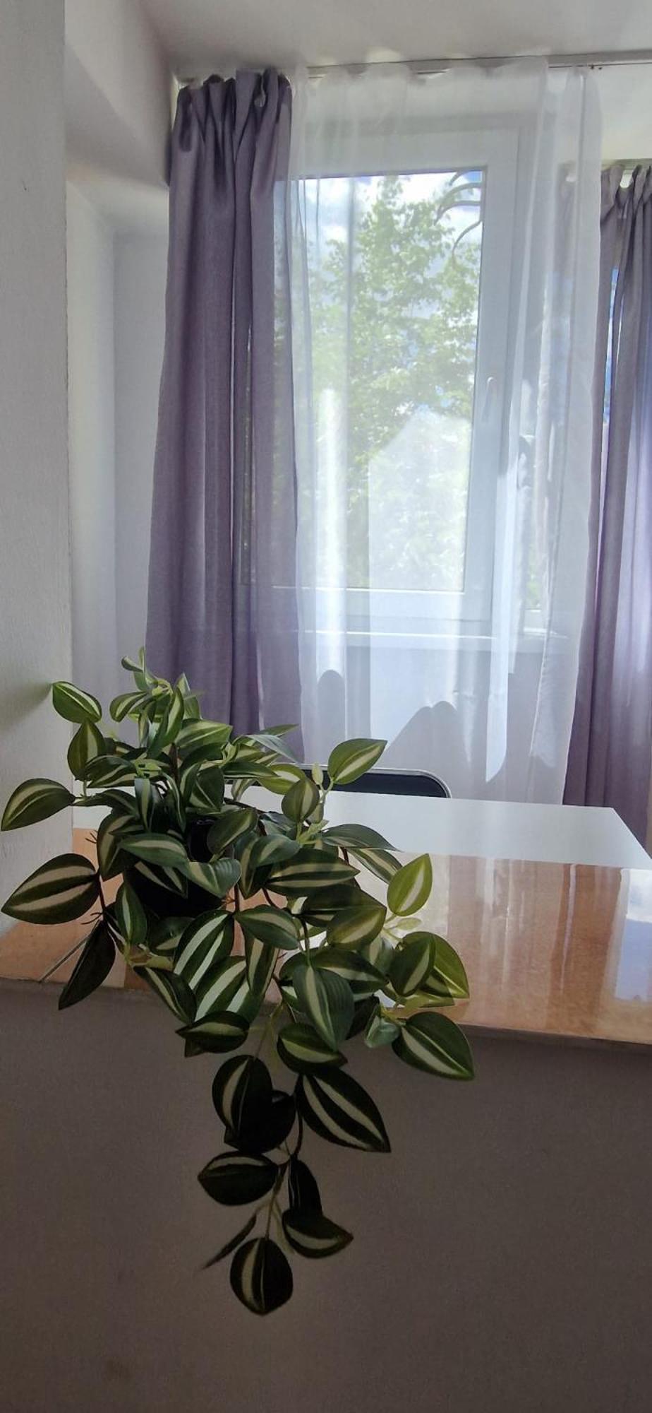 Stephanie Apartment-Centru Civic Brasov Luaran gambar